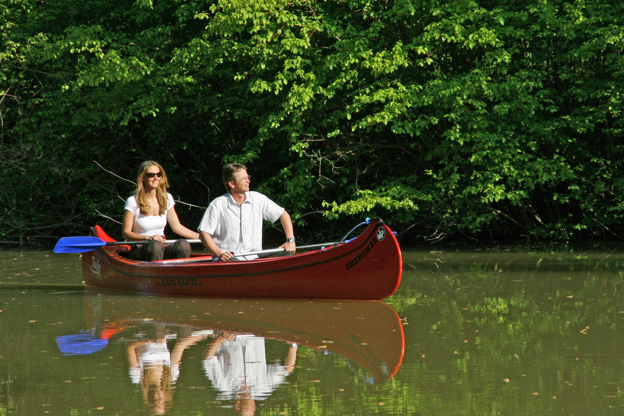 Frühjahrsbepflanzung in Tulln
