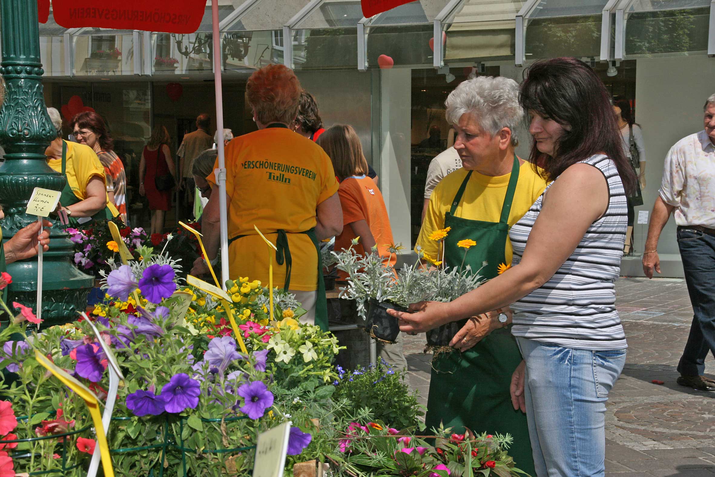 Maibaum Blumenmarkt am 30 April 2011