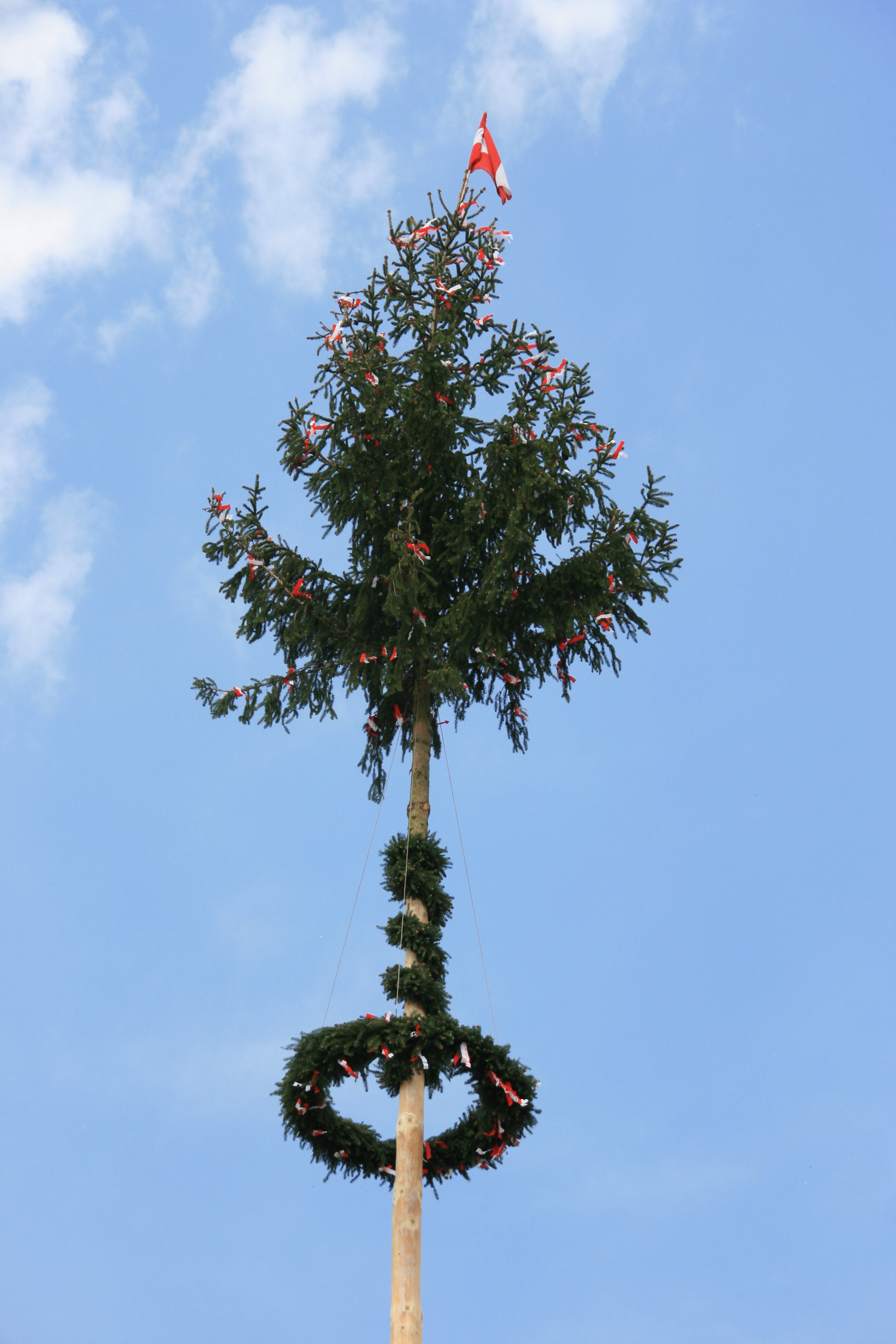 Maibaumaufstellen am Minoritenplatz Tulln