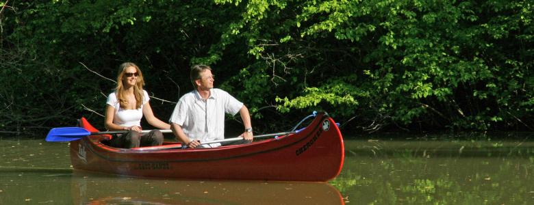 Frühjahrsbepflanzung in Tulln