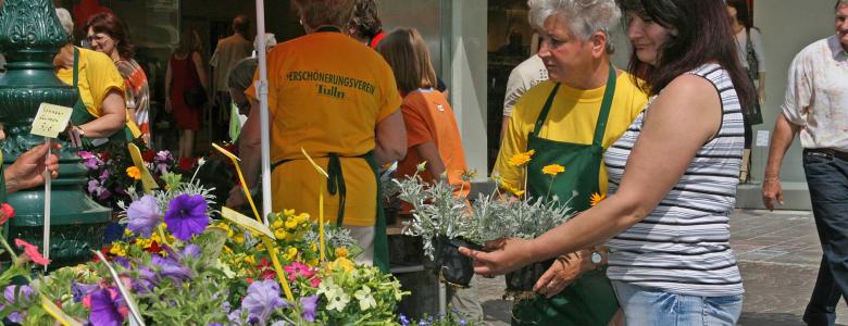 Maibaum Blumenmarkt am 30 April 2011